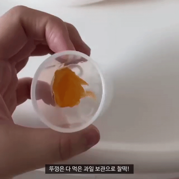 1+1 브릭오 실리콘 과즙망 치발기 아기 유아 과일 이유식 판매처 상세 정보 이미지 2