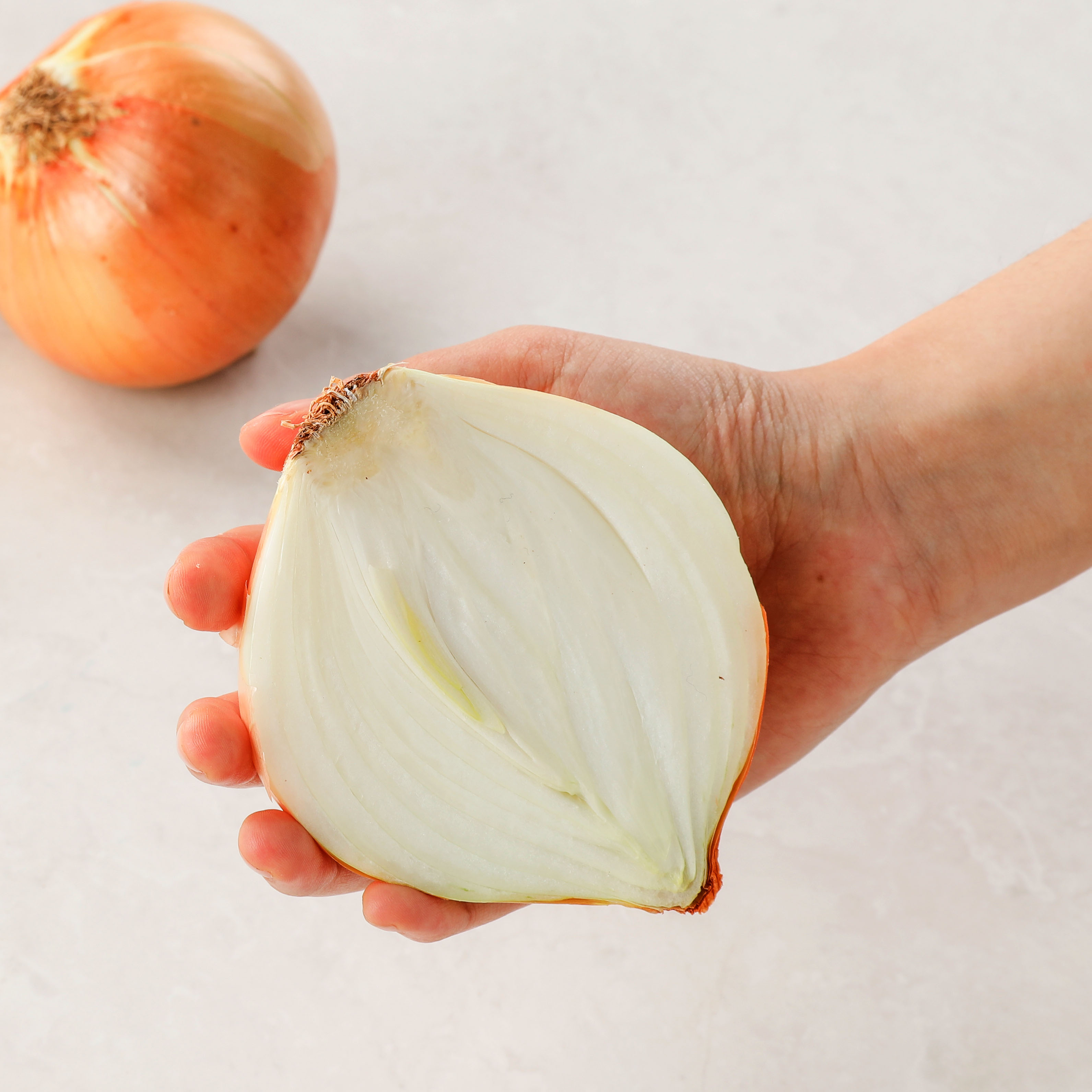 산지직송 국내산 단단한 햇 만생양파 2.5kg - 상세 이미지 2