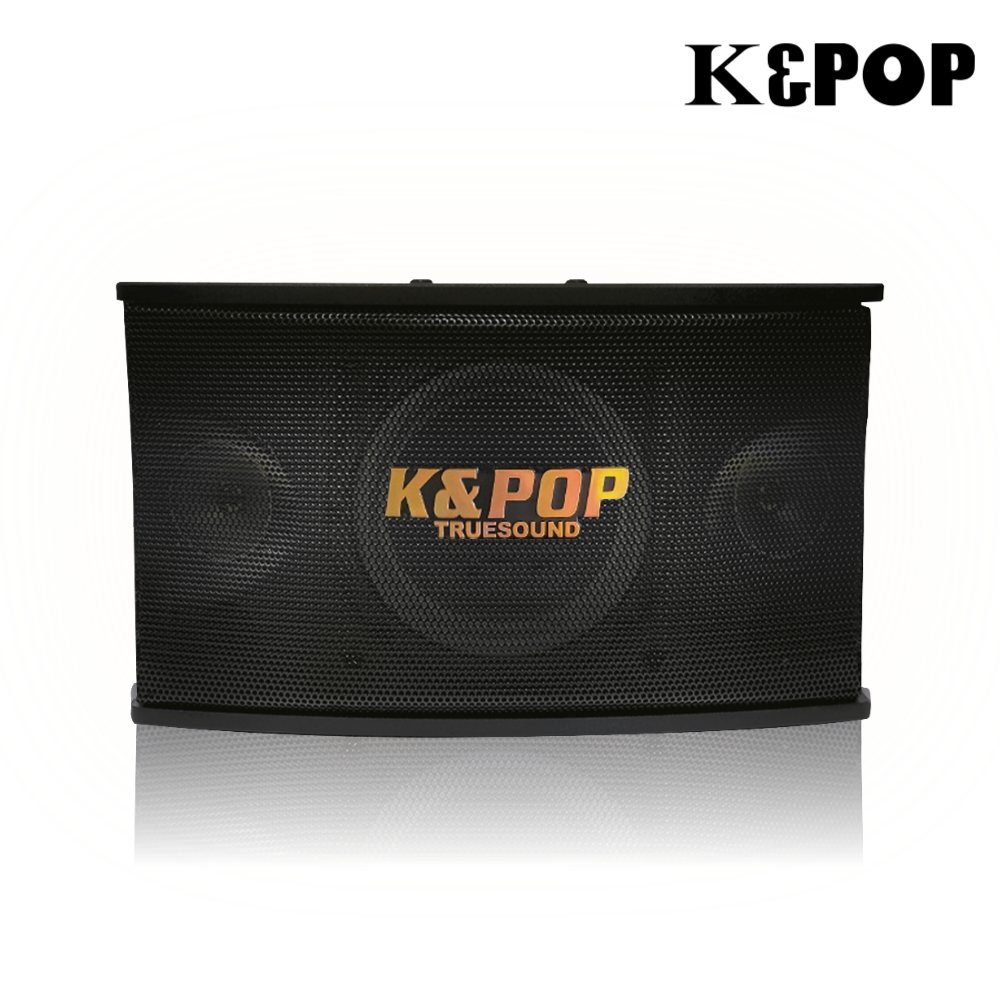 케이팝 노래방스피커 KPS-301 300W 매장용 스피커 2개 (1조) 개봉기 | 실사용 후기 - 대표 이미지