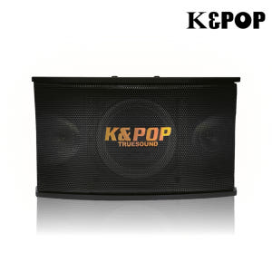 케이팝 노래방스피커 KPS-301 300W 매장용 스피커 2개 (1조) 개봉기 | 실사용 후기 - 상품 이미지 1
