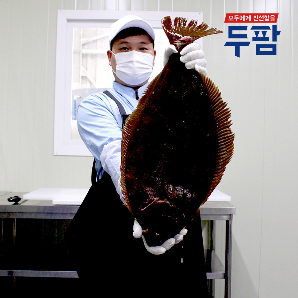 당일작업 대광어 숙성 광어회 500g 250g 필렛,곤부지메 우럭회 이미지 3