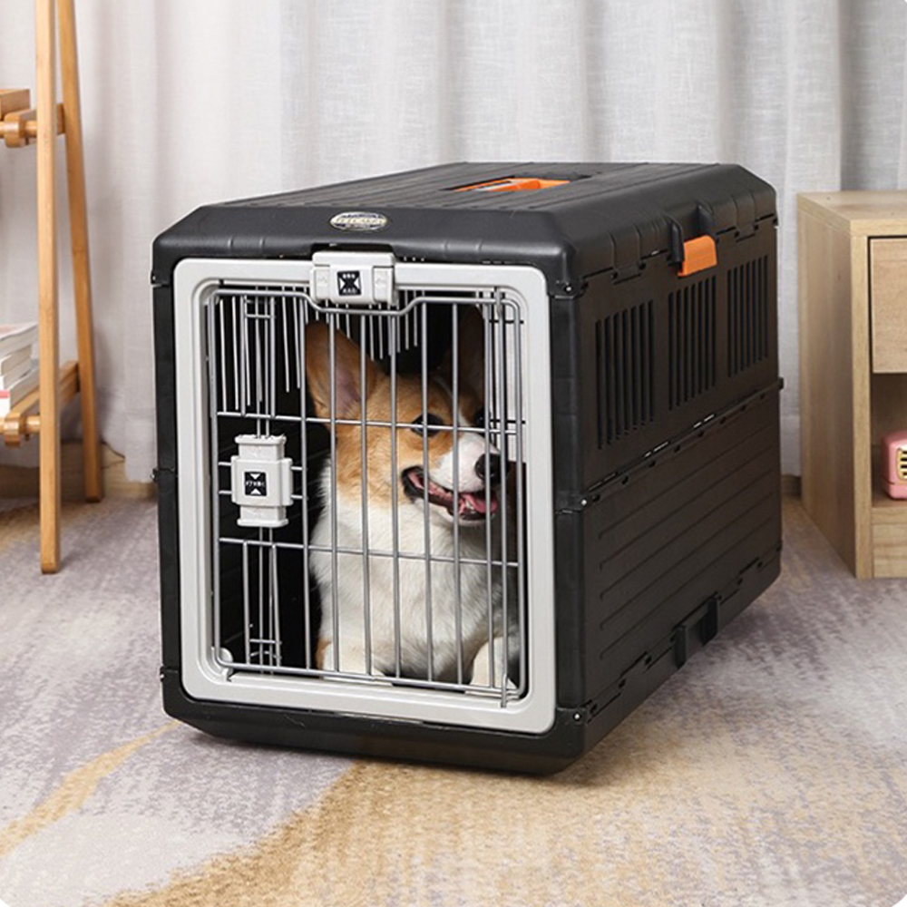 개과천선 강아지 애견 폴드 접이식 대형 산책가방 켄넬 이동가방 이동장 여행