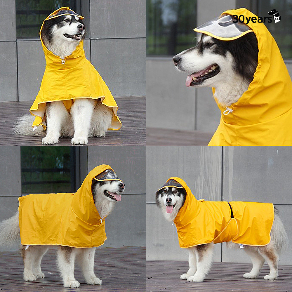 강아지비옷 우비 레인코트 M - 상세 이미지 2