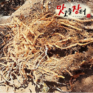 강원도 정선 100% 자연산 골쇄보 200g 맛있게 먹은 솔직 후기 - 상품 이미지 1
