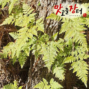 강원도 정선 100% 자연산 골쇄보 200g 맛있게 먹은 솔직 후기 - 상품 이미지 2