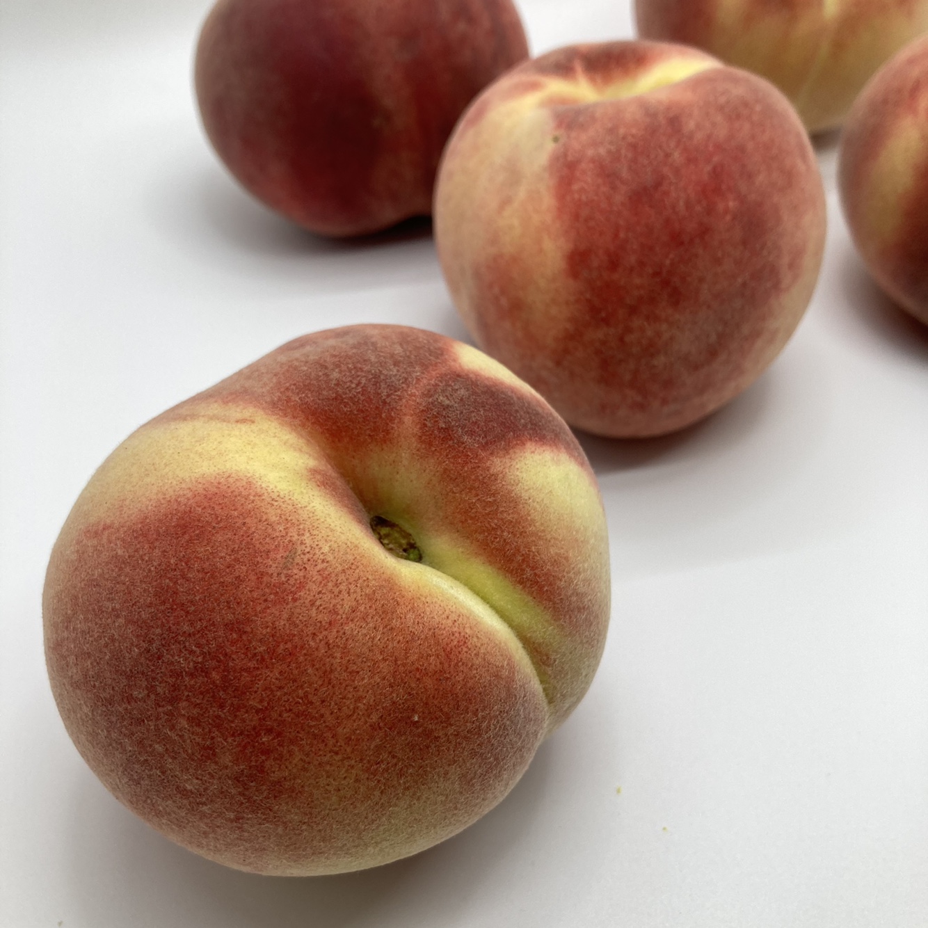 만백천 양홍장 엘바트 황도 말랑이 영동 복숭아 2kg 3kg 4kg 5kg 대과 특대과