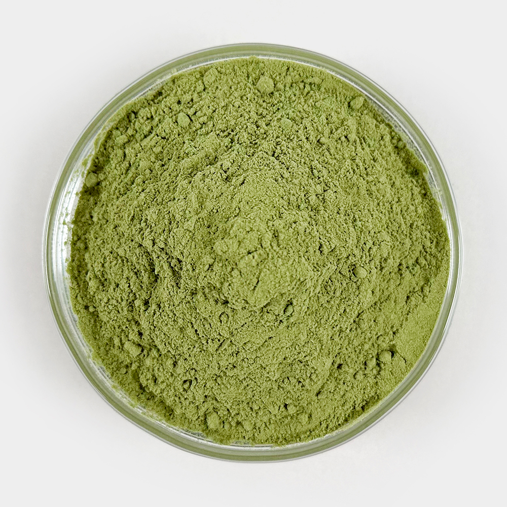 국산 케일가루 케일분말 250g - 상세 이미지 3