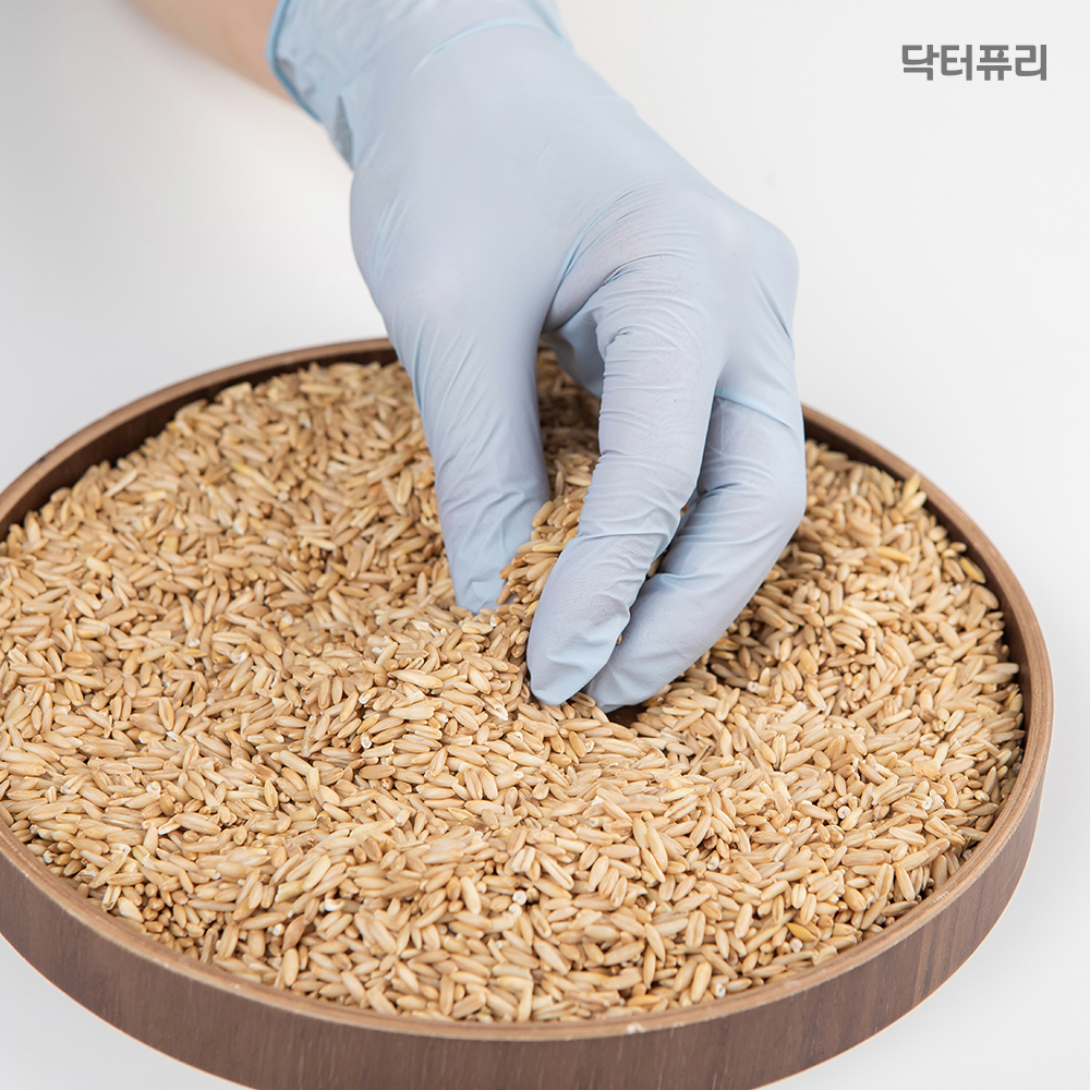 [다목적세정제 증정] 닥터퓨리 오트밀 뽑아쓰는 니트릴장갑 200매 식품용 3.2g 다운블루 파우더프리 귀리코팅 식품용 위생장갑 - 상품 이미지