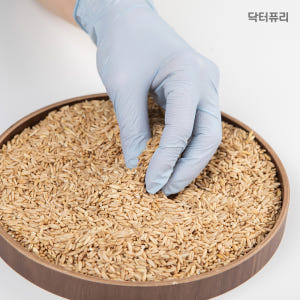 닥터퓨리 뽑아쓰는 오트밀 니트릴장갑 100매 식품용 3.2g 다운블루 귀... 실사용 후기 | 효과 있을까? - 상품 이미지 1