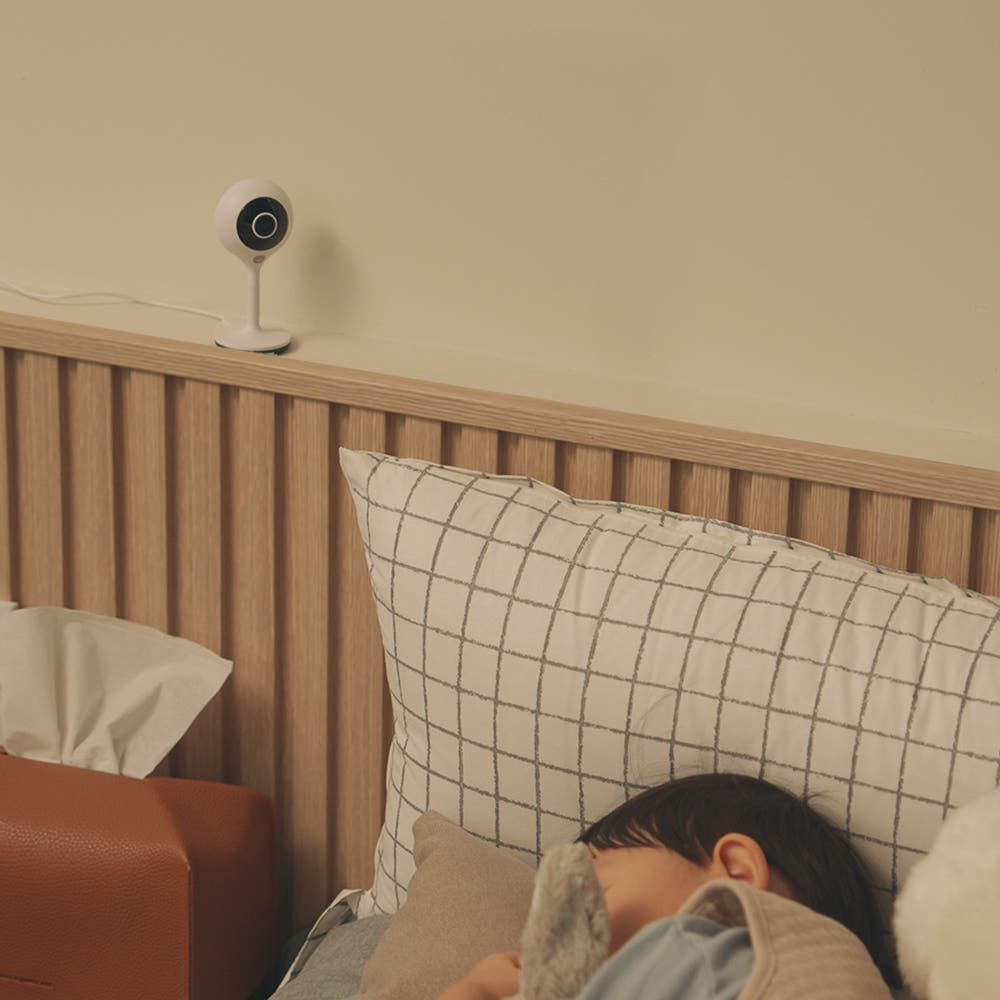 헤이홈 고정형 3MP