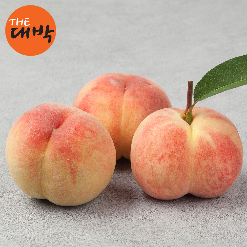 복숭아 신비복숭아 천도 대극천 제철과일