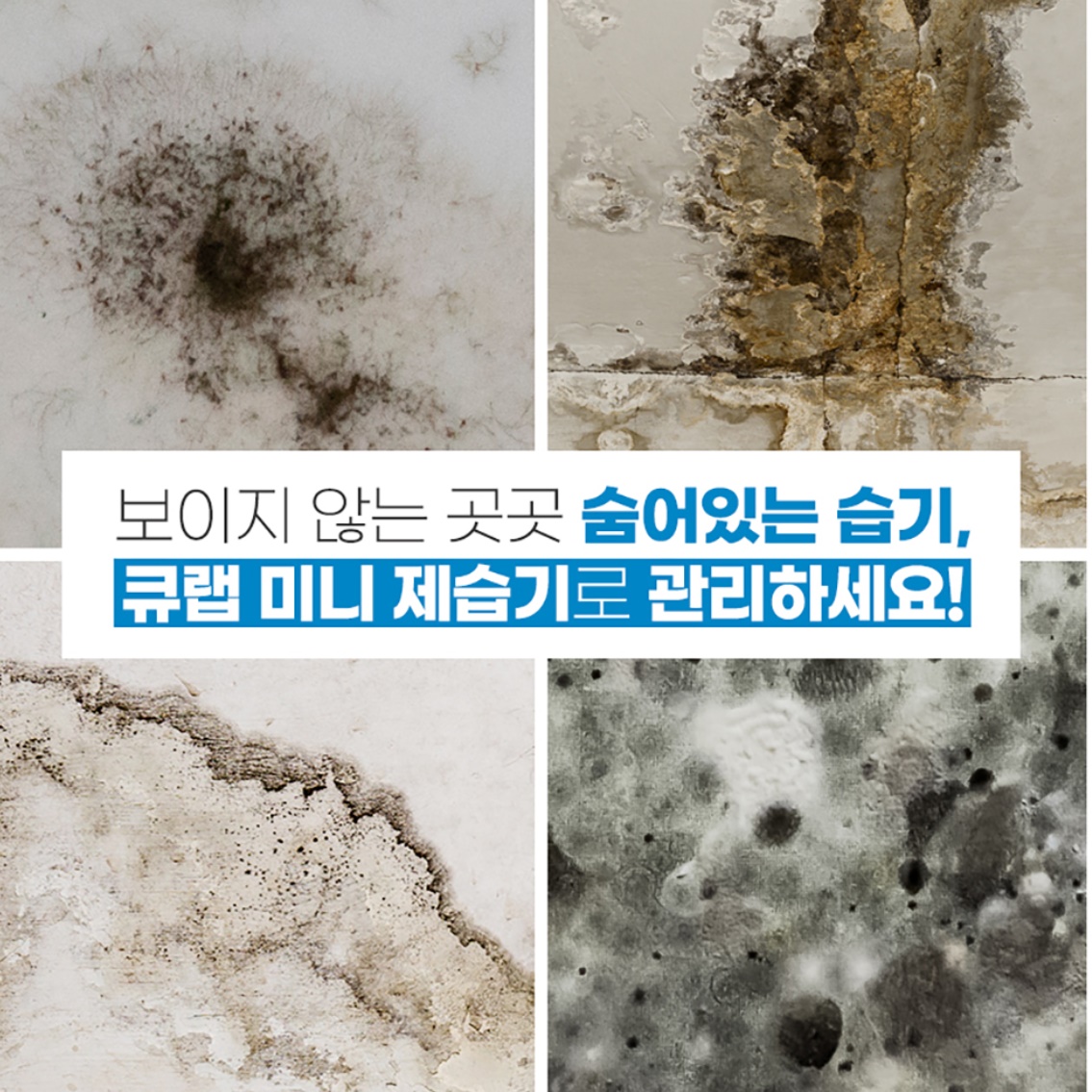 자취방제습기 원룸용제습기 옷방 드레스룸 사무실용 사무실제습기 이미지 7