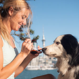 그린펫엔젯 강아지 관절 영양제 조인트츄 슬개골 뉴질랜드 정품 60정 2달... 솔직 후기 | 실제 사용자 리뷰 총정리 - 상품 이미지 2