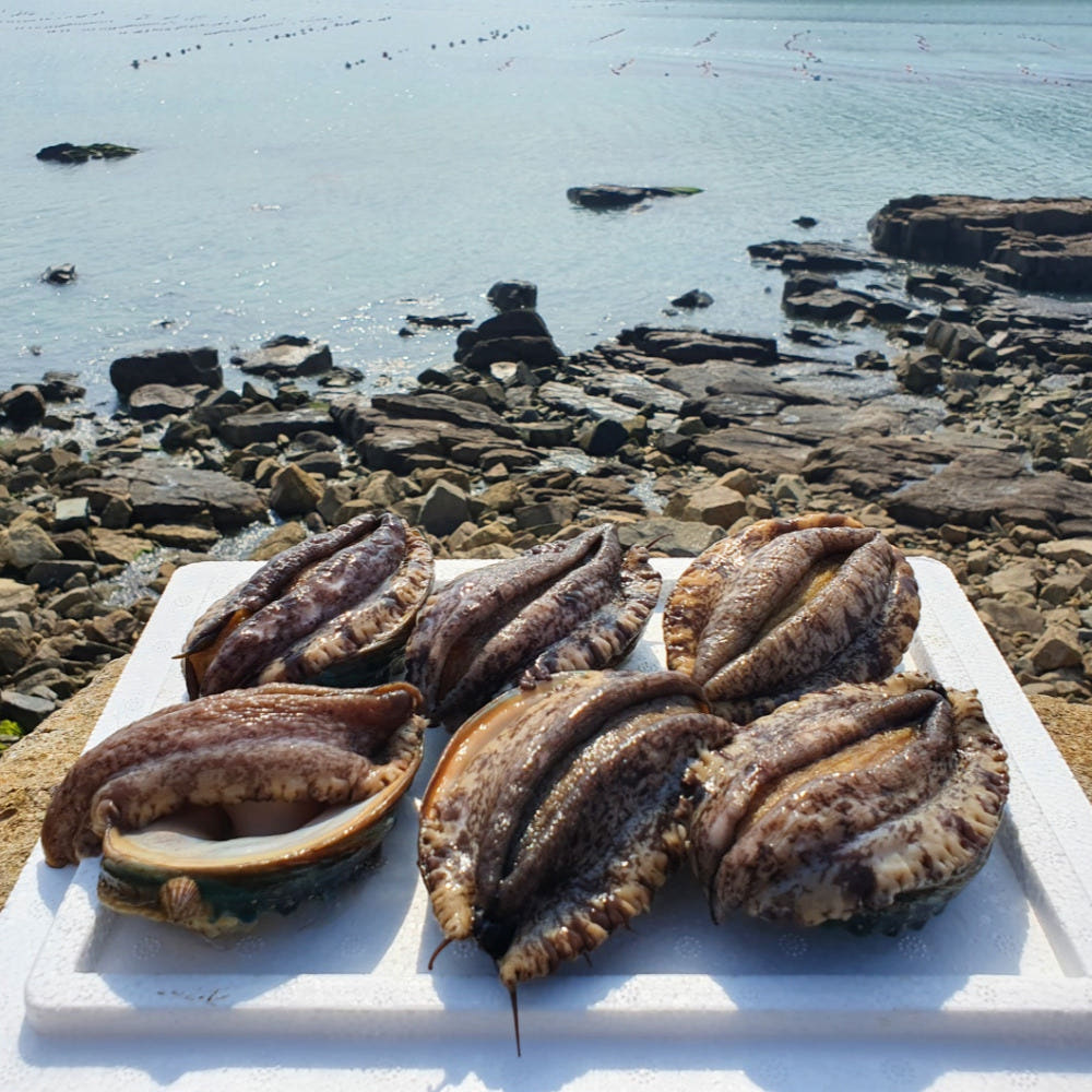 전복 손질 가이드 이미지 1