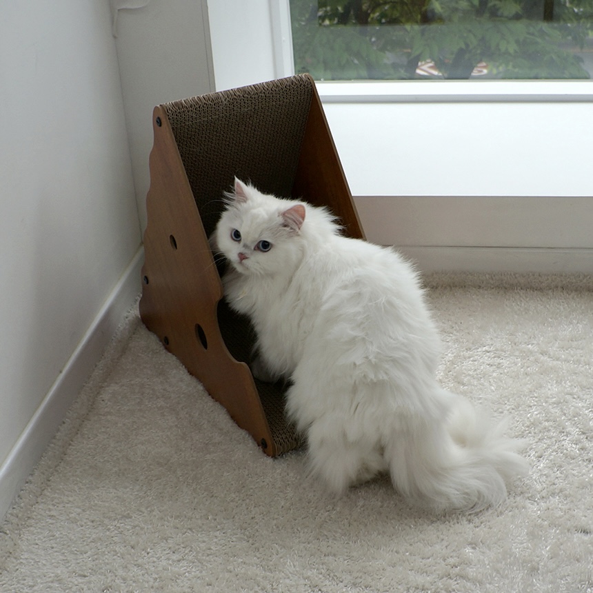 가티가티 고양이 스크래쳐 수직 스크래처 대형