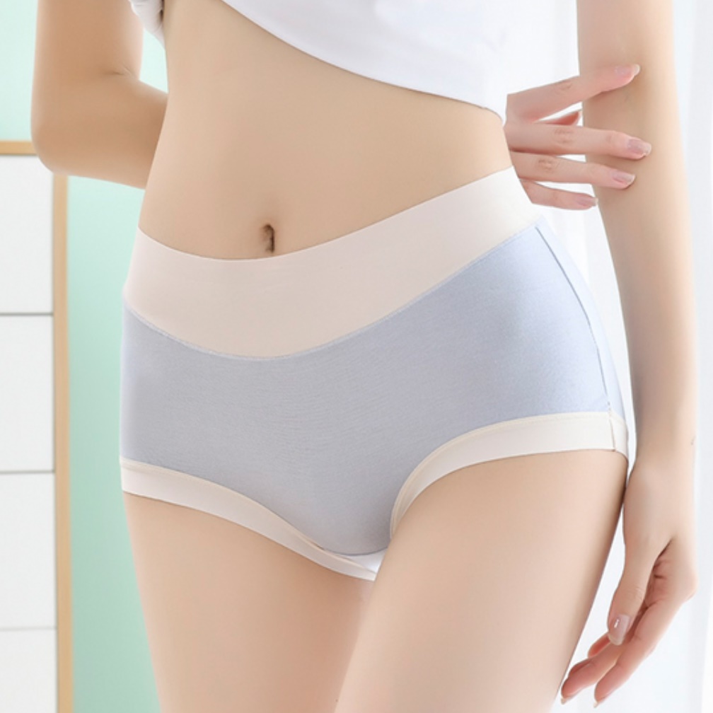 빅사이즈 하이웨이스트 아랫배팬티 밑위긴팬티 바디쉐이핑팬티 착용 후기 | 사이즈/핏 총정리 - 대표 이미지