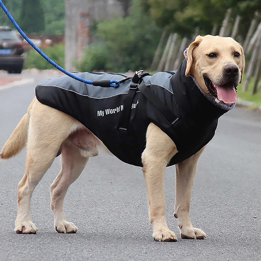 강아지패딩 하네스 대형견 패딩 조끼 겨울옷 진돗개 XL
