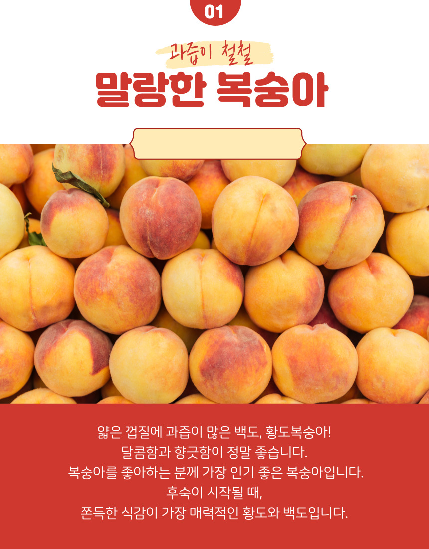 %EC%A0%9C%EB%AA%A9%EC%9D%84-%EC%9E%85%EB