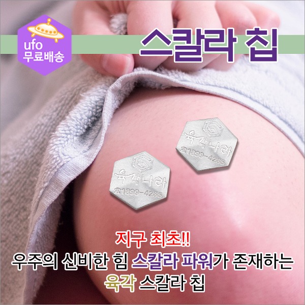 스칼라칩 / 육각 제로지대의 신비한 힘 !! 스칼라 칩 - 메인 이미지