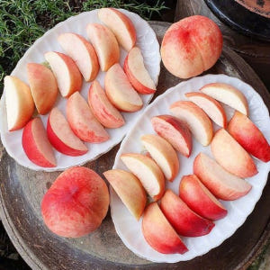 신비복숭아 납작복숭아 천도 신선 딱딱이 대극천 제철과일 복숭아 맛있게 먹은 솔직 후기 - 상품 이미지 4