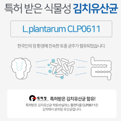 일양약품 프로바이오틱스 유산균19 생유산균 유익균 증식 유해균 억제 효능 30포, 4개 이미지 3