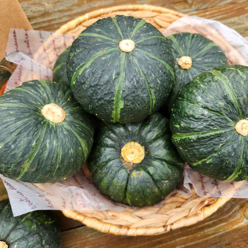 제주 밤호박 미니 단호박 보우짱 제철 2kg 3kg 5kg - 상세 이미지 5