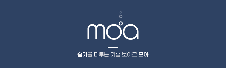 보아르 모아S1200 미니 제습기 드레스룸 원룸 욕실 옷방 옷장 저소음 소형 가정용 화장실 상세 이미지 3