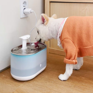 헤이홈 깨끗하게 5중필터 펫 정수기 솔직 후기 | 실제 사용자 리뷰 총정리 - 상품 이미지 1