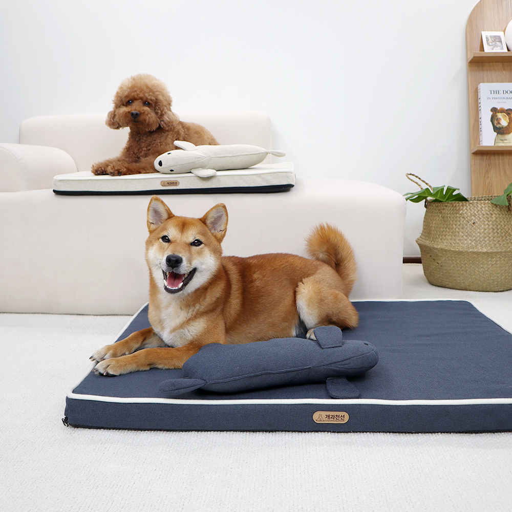 개과천선 3D 디멕스 에어코일 쿨링 강아지 매트리스 시원한 아이스 방석 대형견