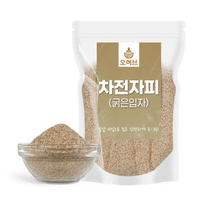 굵은입자 차전자피 차전차피 가루 분말 실리엄허스크 1kg 맛있게 먹은 솔직 후기 - 상품 이미지 2
