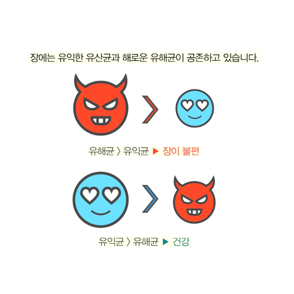 원데이 장내세균 60포 장건강 좋은유산균 2개월분 이미지 3