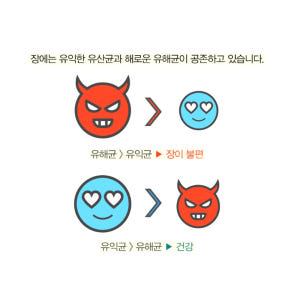 원데이 장내세균 60포 장건강 좋은유산균 2개월분 맛있게 먹은 솔직 후기 - 상품 이미지 3