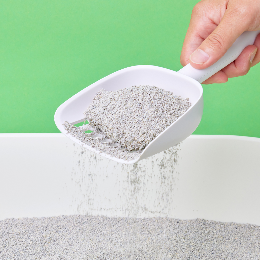 3651 365샌드 벤토나이트 마일드 고양이 모래 7kg, 4개