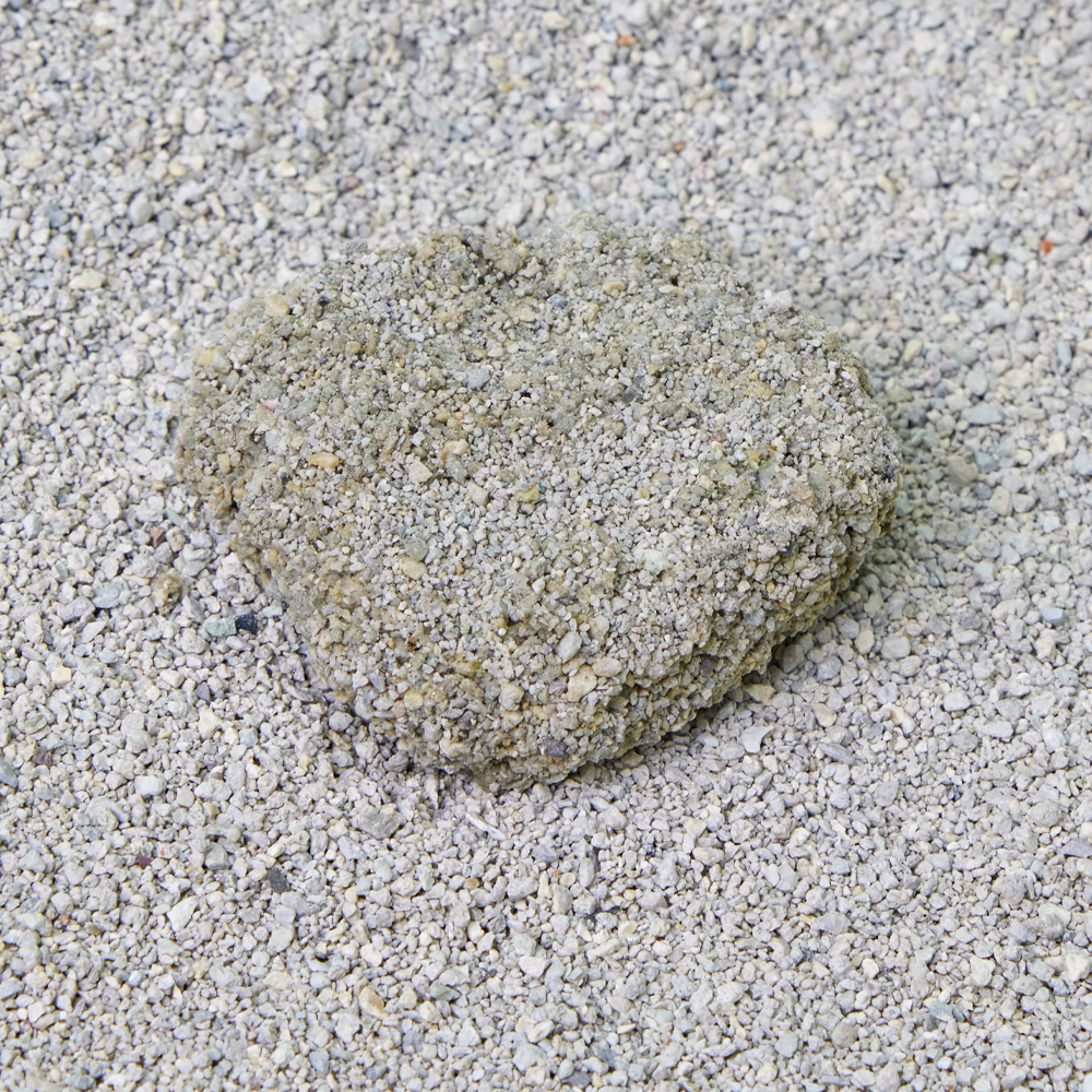 3651 365샌드 벤토나이트 마일드 고양이 모래 7kg, 4개