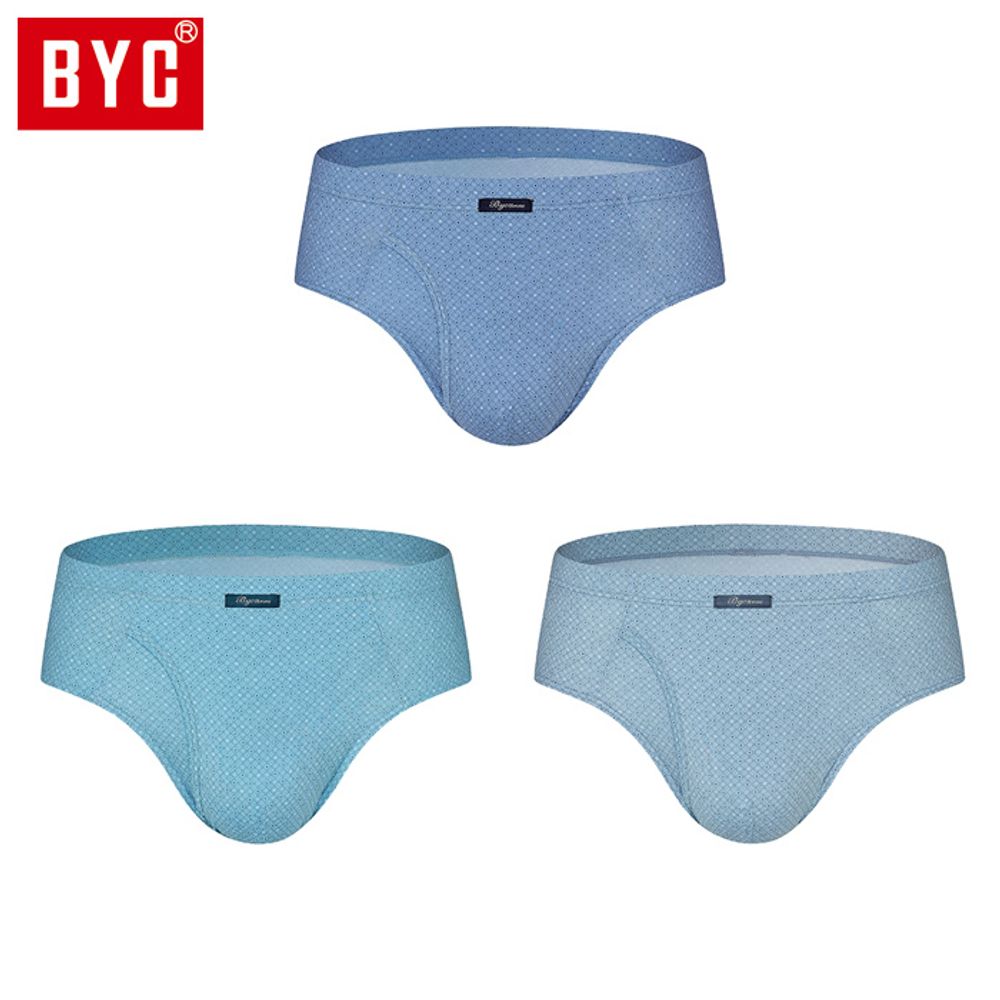 BYC 남자 3매입 맥시 삼각팬티 DOLF1039 : N2Y