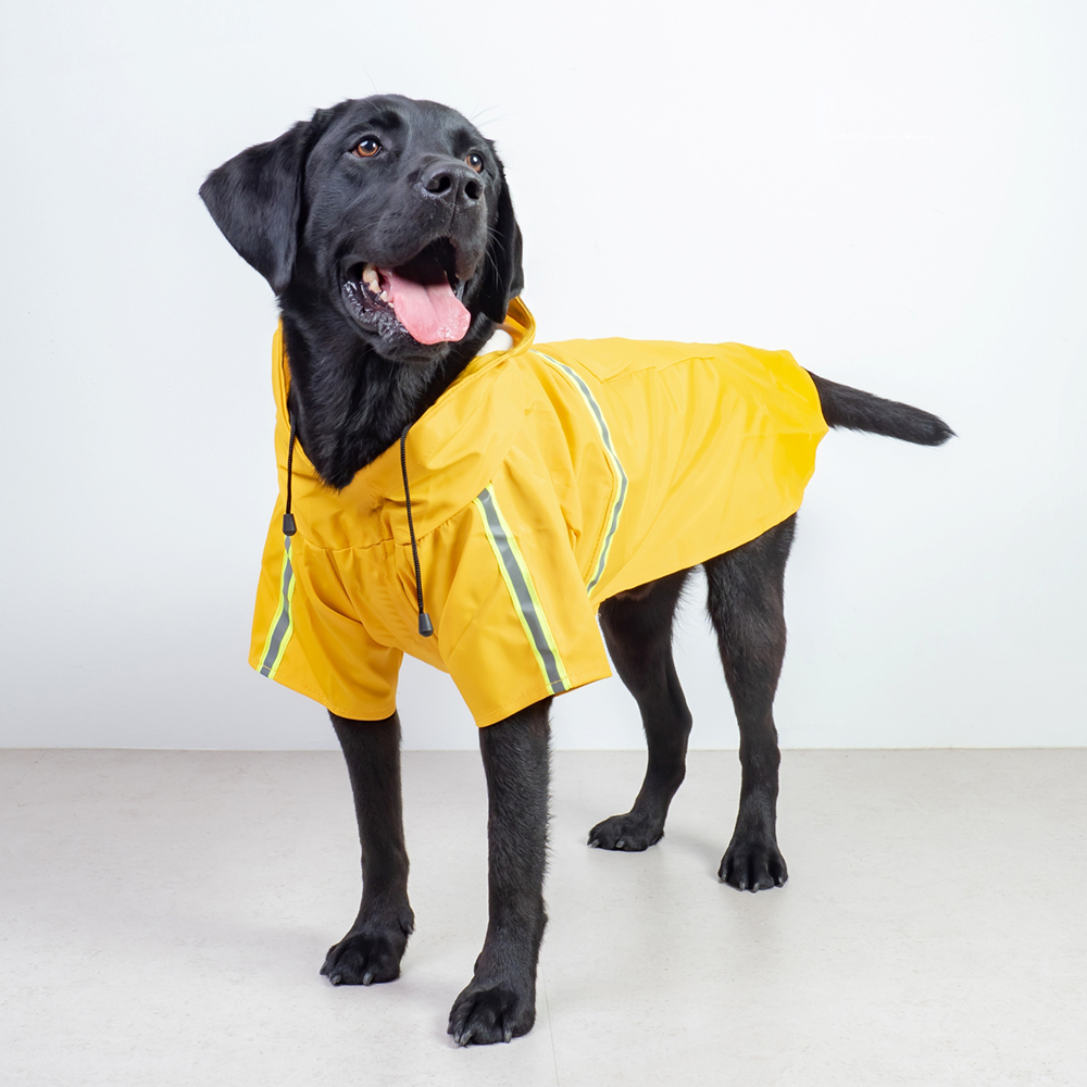 대형견우비 강아지 비옷 레인코트 판초 리트리버 2XL