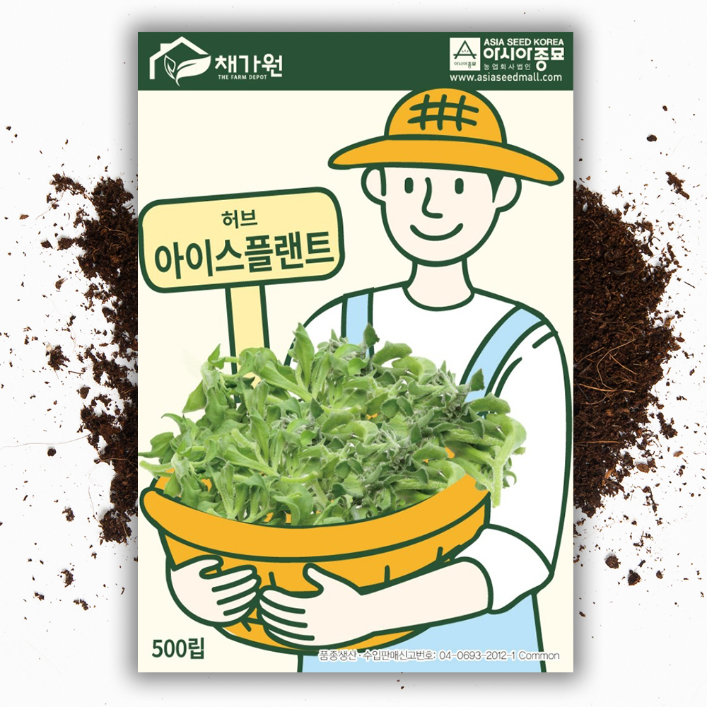 아이스플랜트 씨앗 종자 500립 얼음채소 허브 씨앗 - 상품 이미지