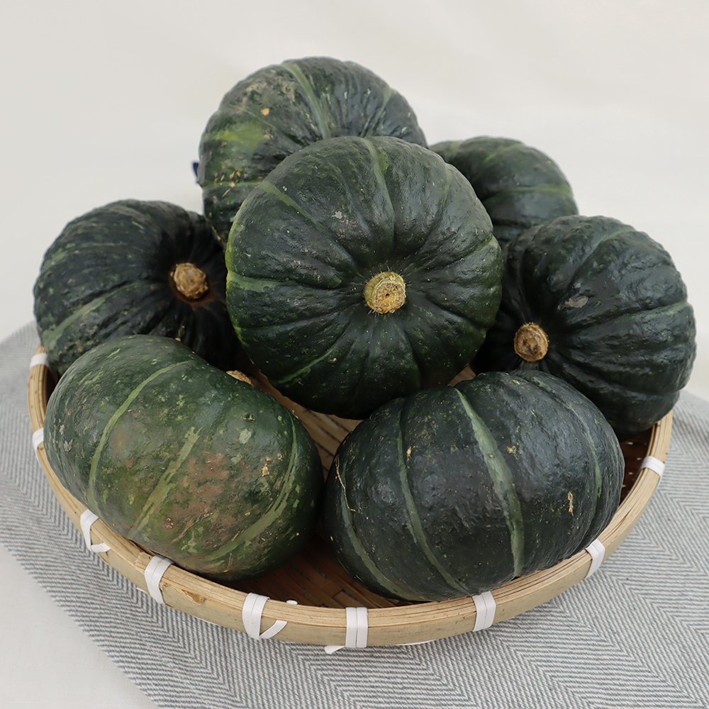 26년 국내산 제주 보우짱 미니 단호박 밤호박 1kg 이미지 6