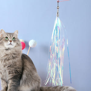 랩캣 고양이 오로라 카샤 낚시대 리필 솔직 후기 | 실제 사용자 리뷰 총정리 - 상품 이미지 1