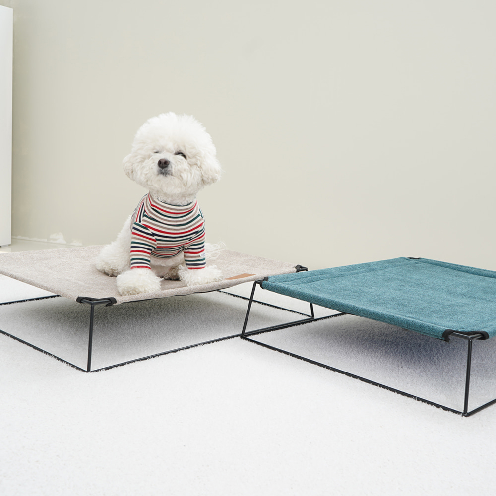 개과천선 시원한 비비드 강아지 해먹 애견 캠핑 의자 쇼파 야전 침대