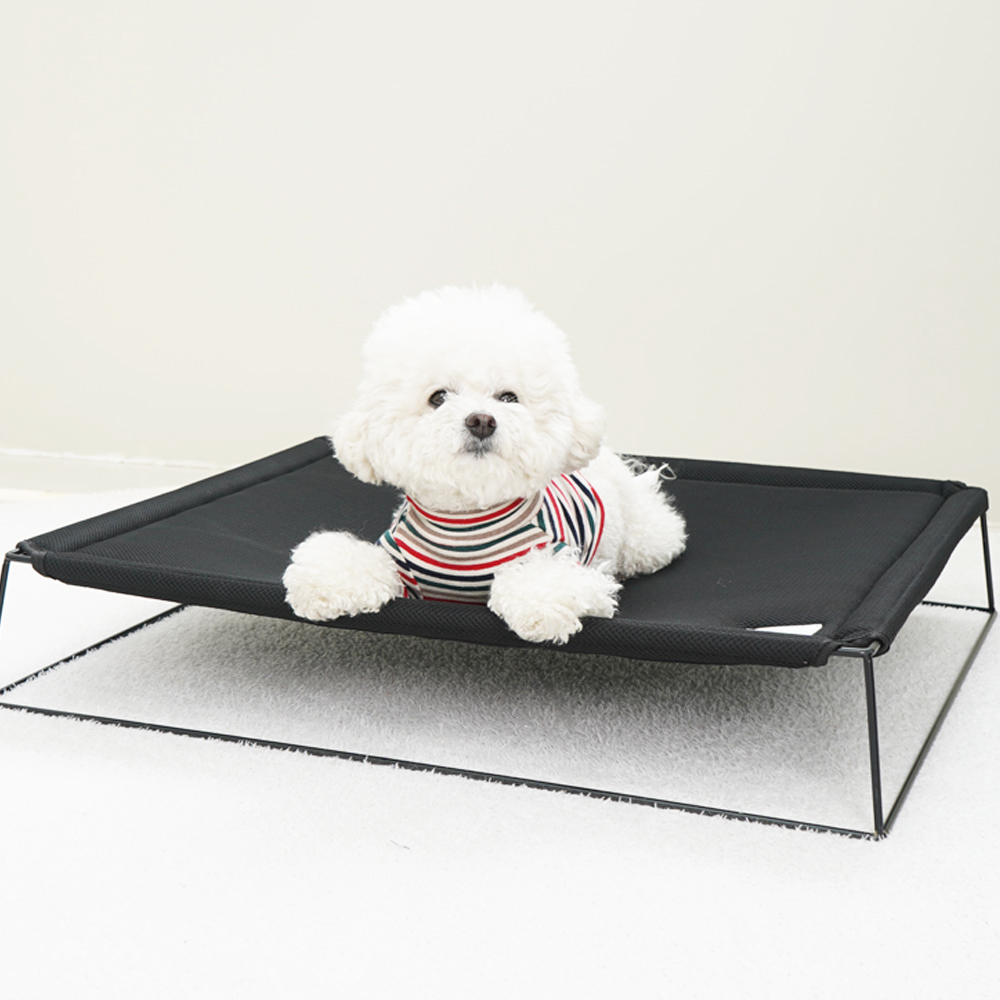 개과천선 시원한 비비드 강아지 해먹 애견 캠핑 의자 쇼파 야전 침대