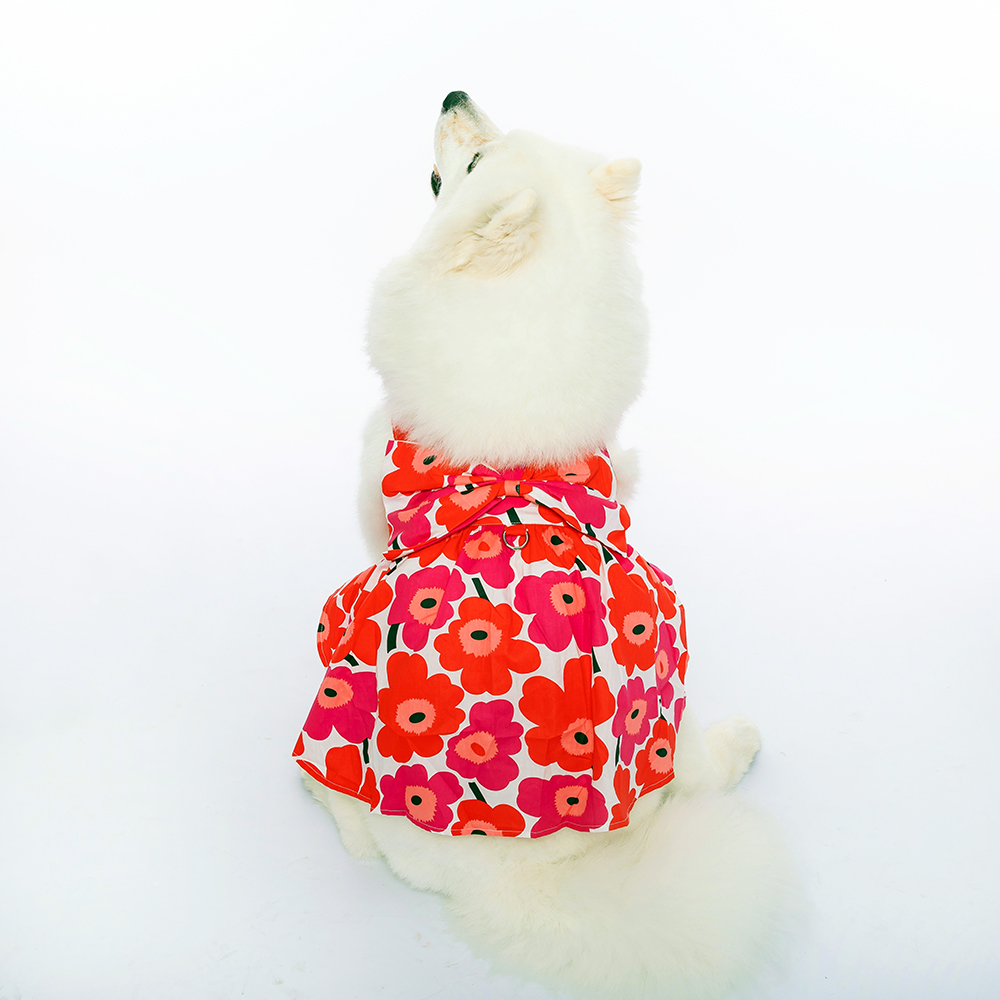 강아지 원피스 드레스 대형견 원피스 레이스 프릴 왕리본 이미지 3