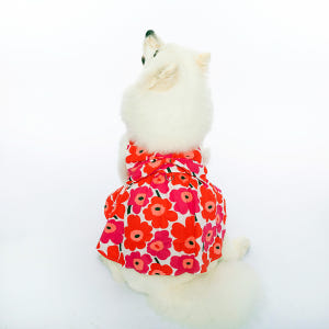 강아지 원피스 드레스 대형견 원피스 레이스 프릴 왕리본 솔직 후기 | 실제 사용자 리뷰 총정리 - 상품 이미지 3