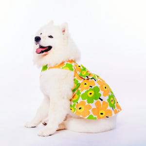 강아지 원피스 드레스 대형견 원피스 레이스 프릴 왕리본 솔직 후기 | 실제 사용자 리뷰 총정리 - 상품 이미지 1