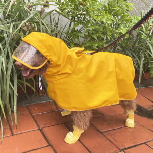 쭈쭈야 강아지 우비 레인코트 비옷 M 판초 강아지옷 솔직 후기 | 실제 사용자 리뷰 총정리 - 상품 이미지 1