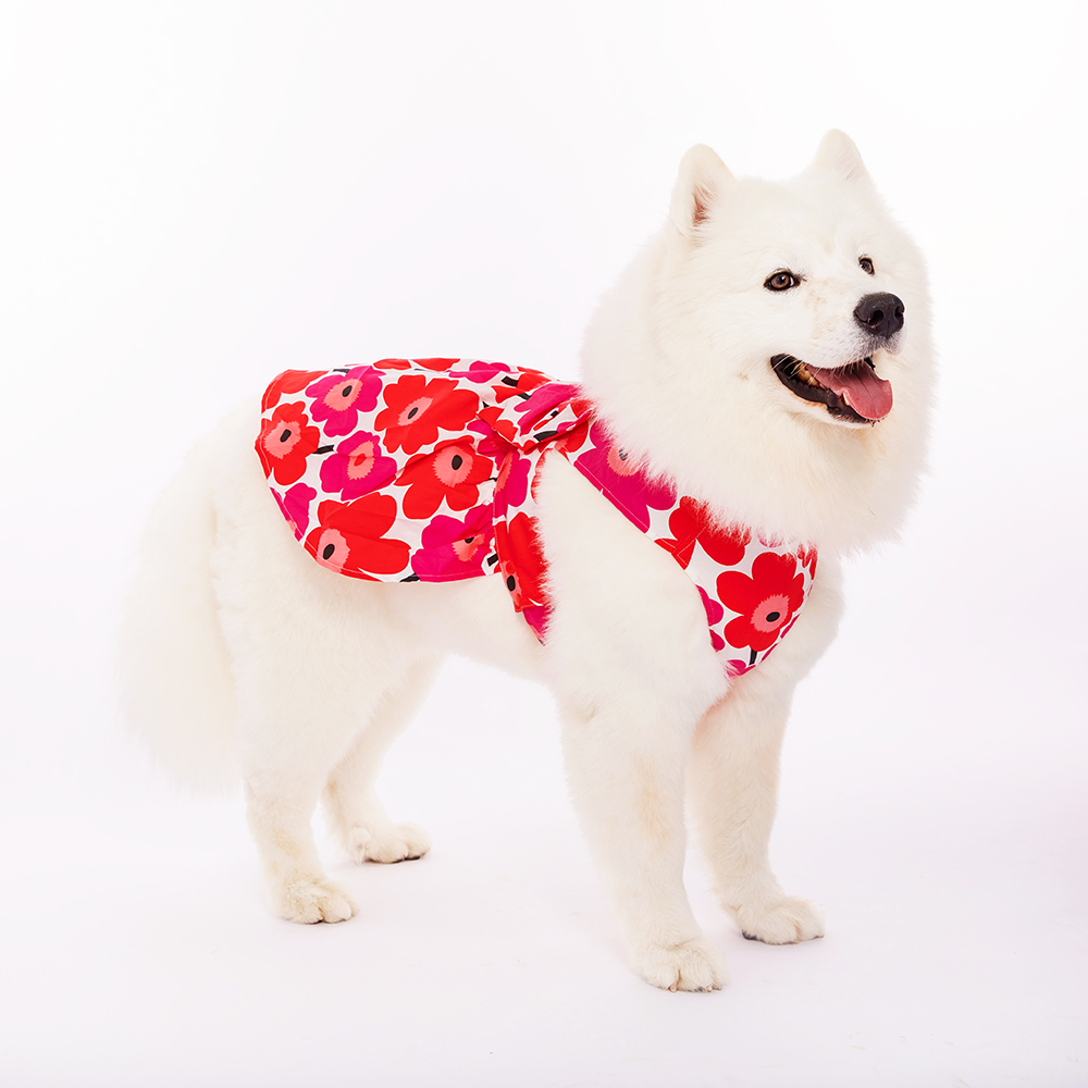 강아지 원피스 드레스 대형견 원피스 레이스 프릴 왕리본 이미지 2