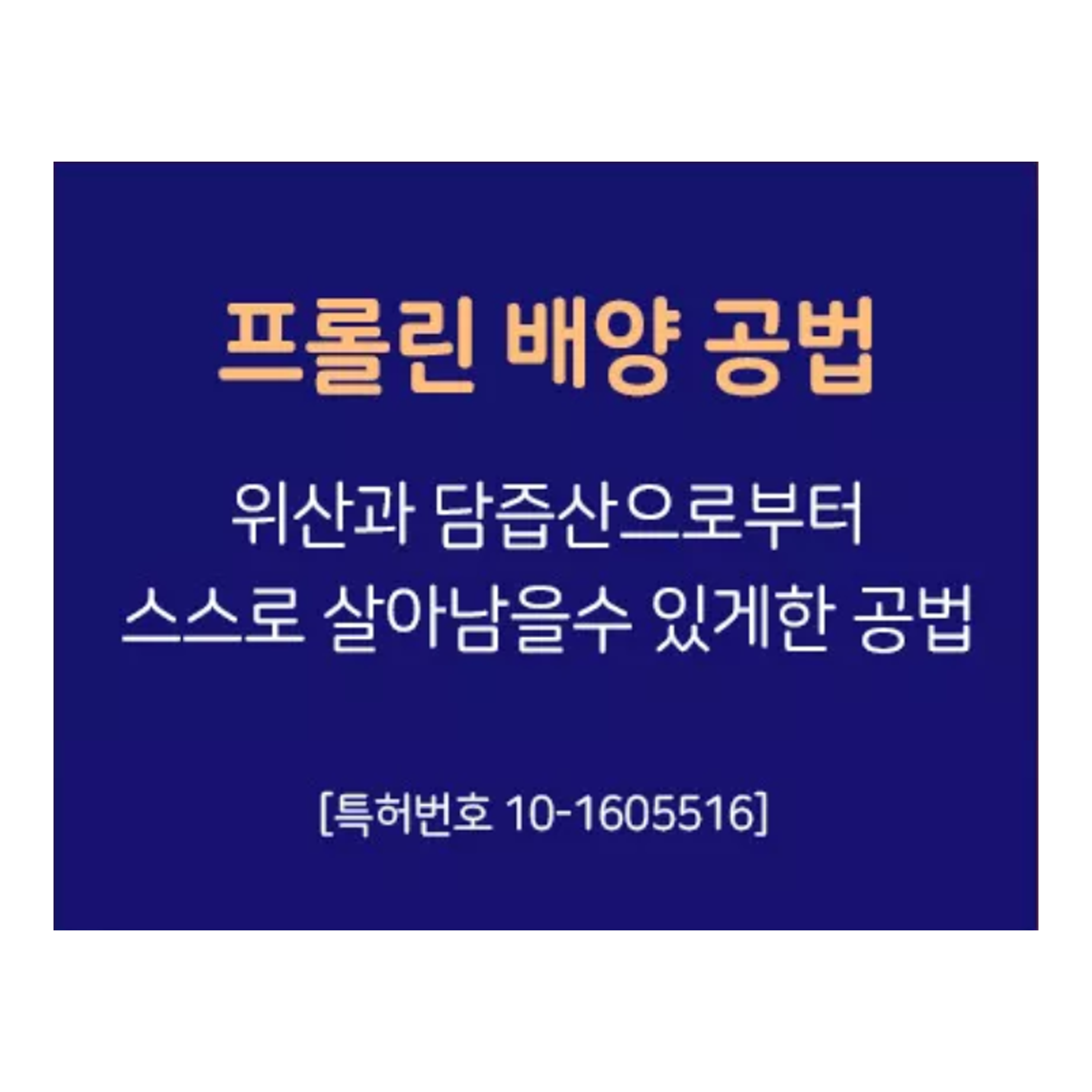 락토핏 코어맥스 생유산균 6통 12개월분 종근당 락토핏 - 상세 이미지 5