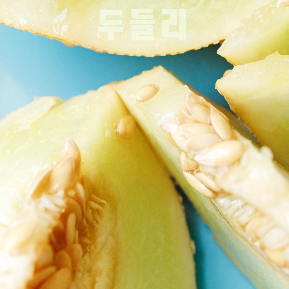 국내산 두들리 머스크멜론 달콤한 고당도 1.5kg 3kg - 상세 이미지 4