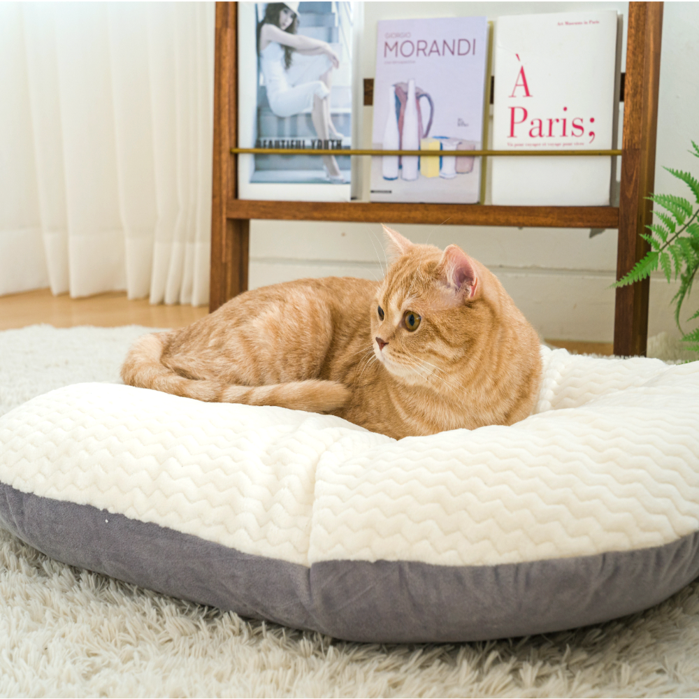 퍼플펫 강아지 방석 고양이 마약 방석 대형견 쿠션 폭신한 딥슬립 중형