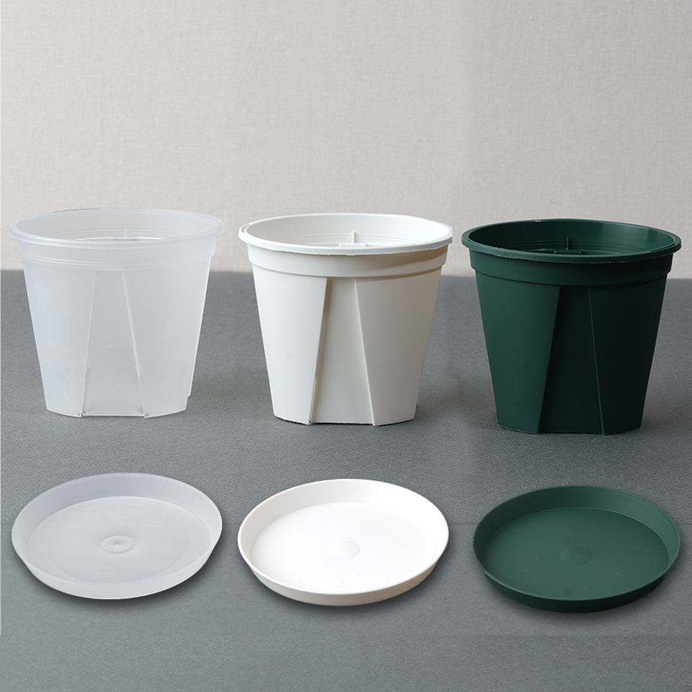 슬릿화분 6cm 화분 가든온 카네야 플라스틱화분 화분 선택법
